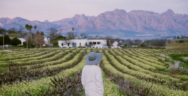 Introducing #StellenboschIsCool Travel Packages photo