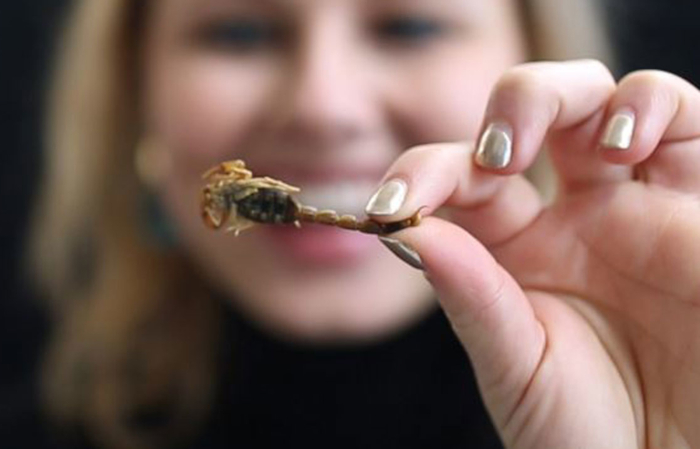 Insect-based Restaurant Opens In Cape Town photo