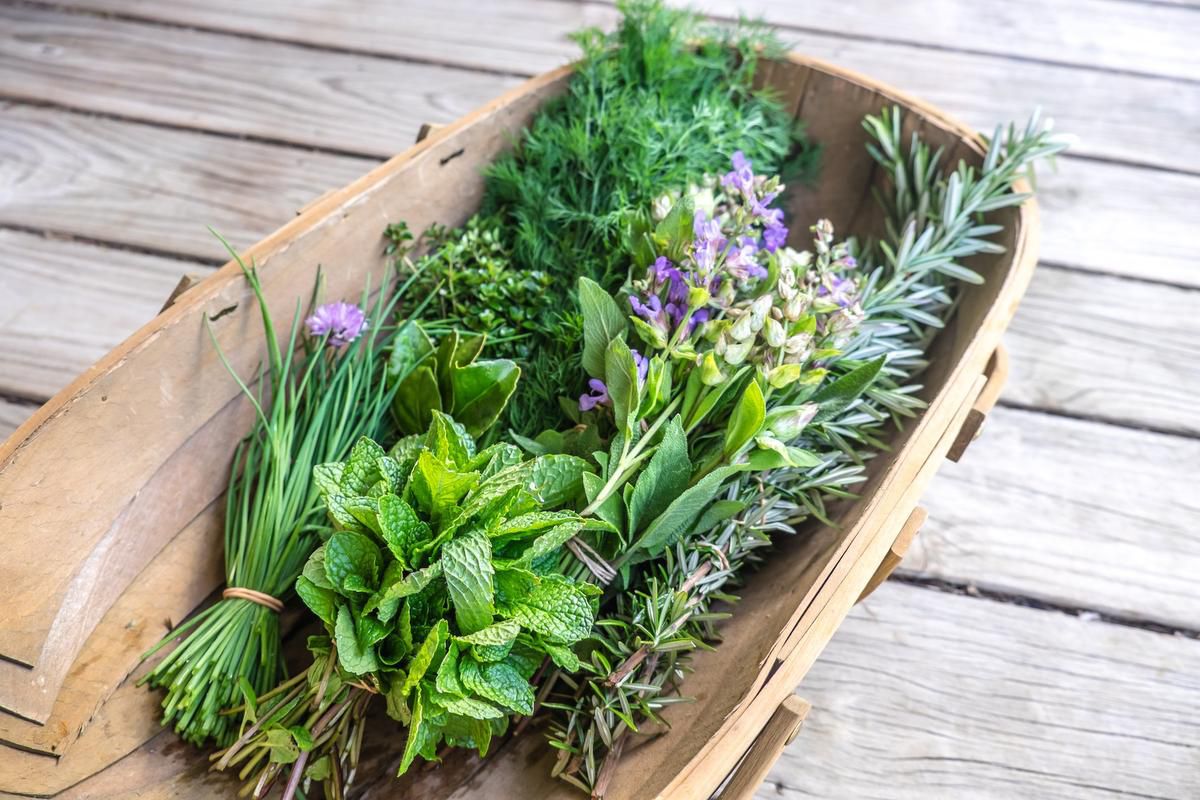 How To Grow And Use Fresh Herbs At Home photo