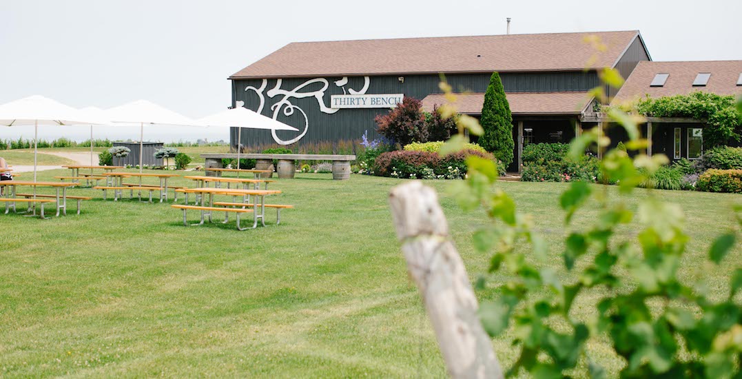 Soak Up The Remaining Summer Days With A Day Trip To This Beautiful Winery photo