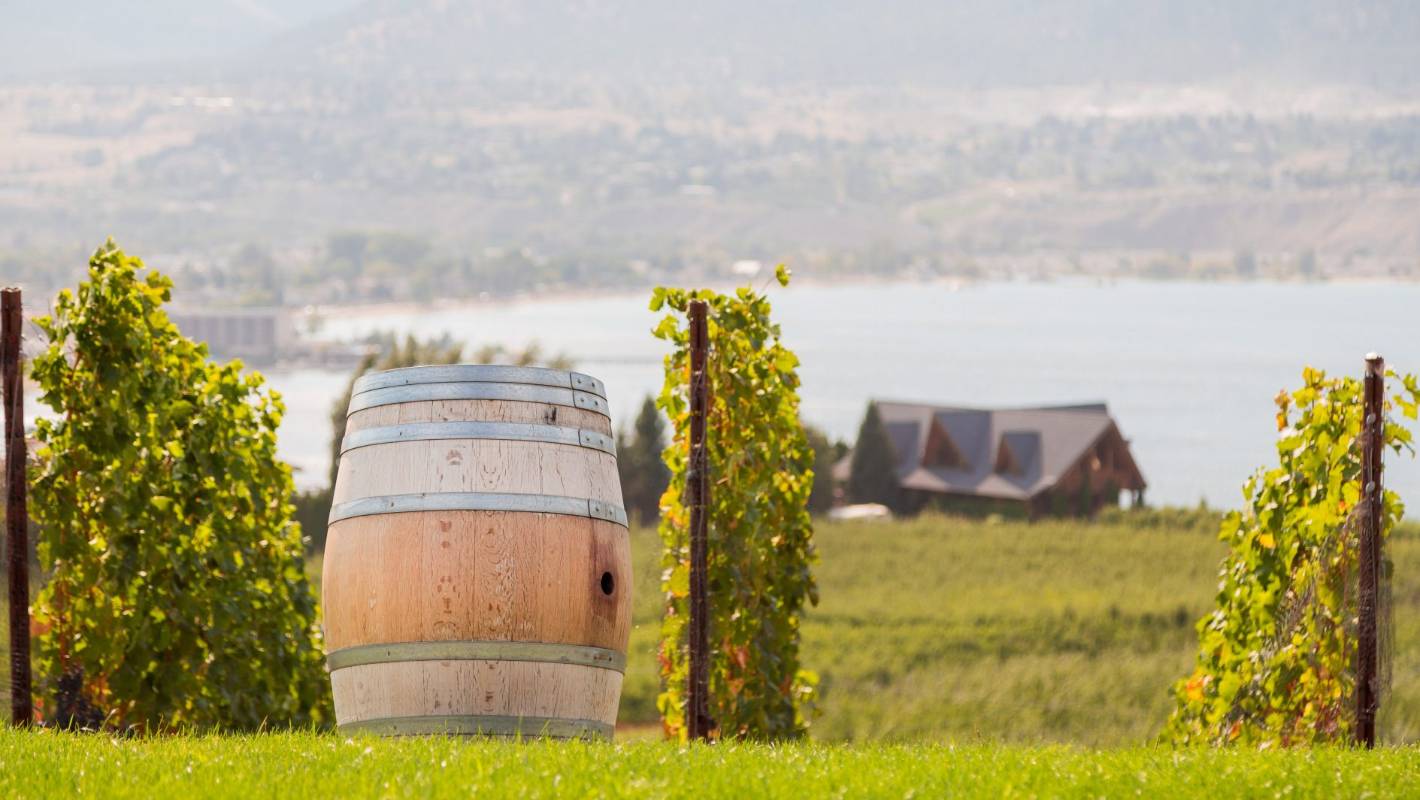 World’s 10 Great Wine Regions You Haven’t Heard About photo