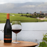 Creation Pinot Noir – Variety is the Spice! photo