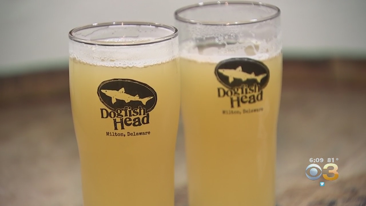 Beer Is Life At Delaware’s Dogfish Head Brewery photo