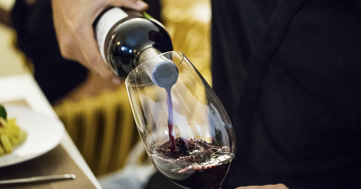 Gamay Noir Wine Is A Cult Classic That’s Here To Stay photo