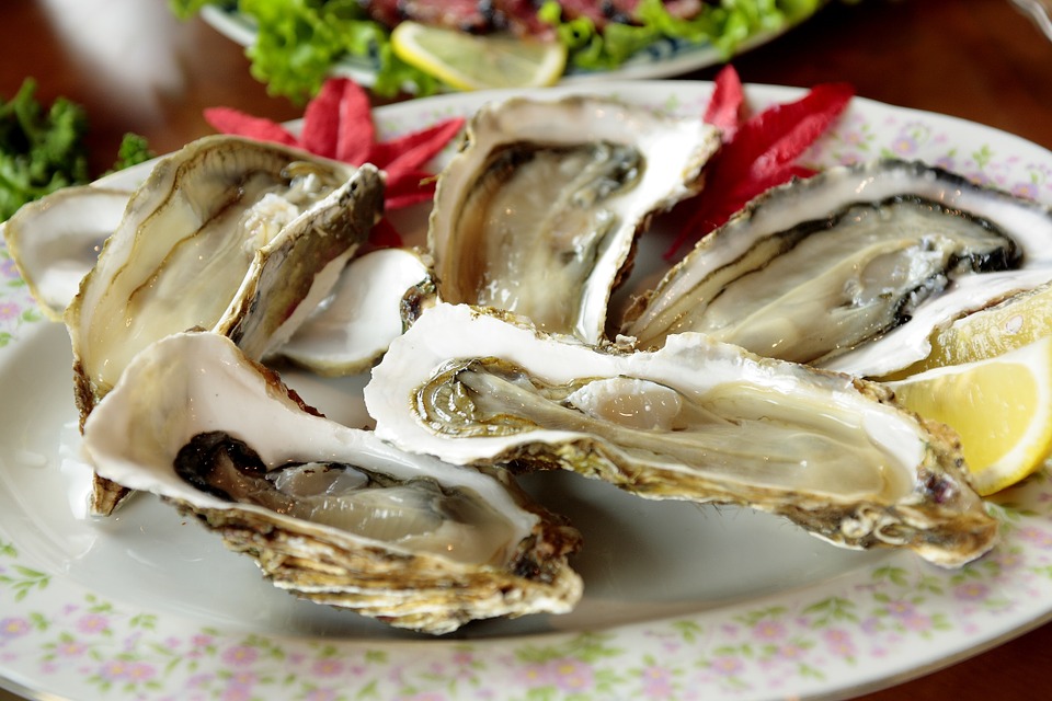 Wine Estates with Oyster and Wine Pairings photo