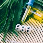 CBD Infused Food and Drinks and How They Differ from Water-Soluble CBD photo