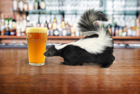 5 Of The Weirdest Beers Ever Crafted photo
