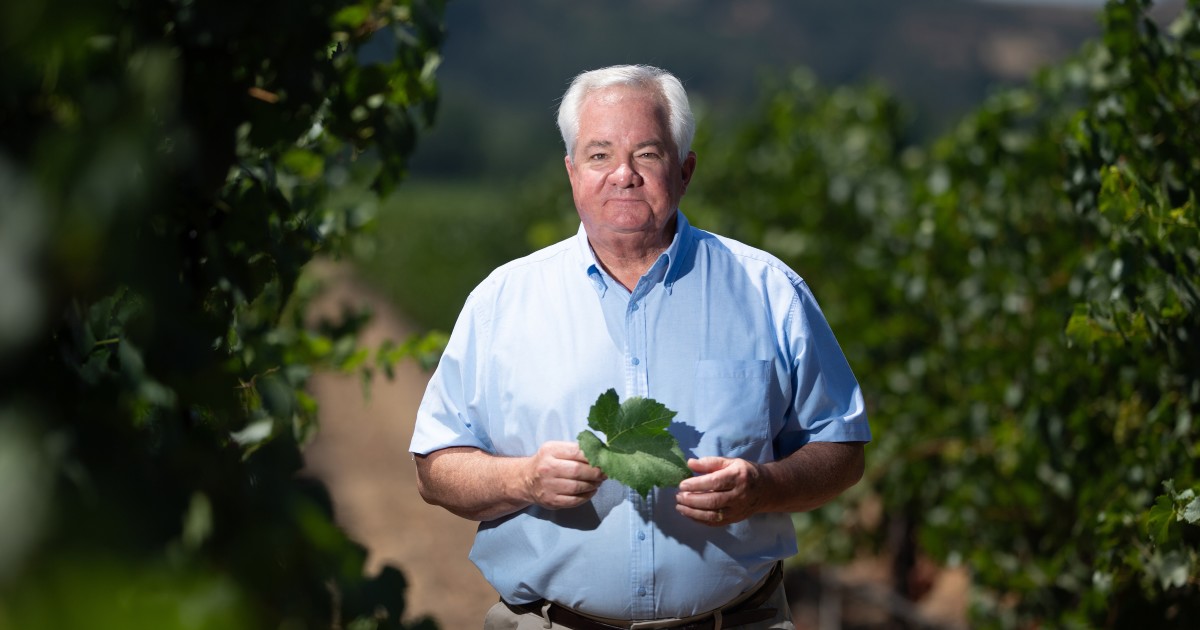 The Latest Casualty Of Trump’s Trade War With China? California Wine photo