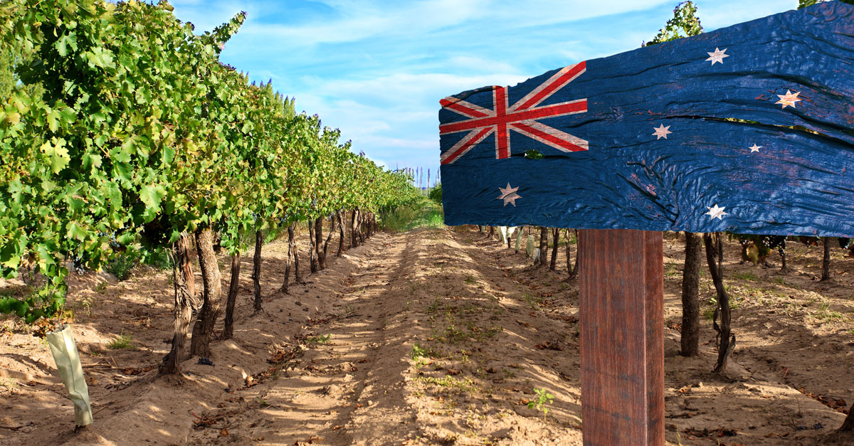 Australian Wine 101: The Lowdown On Wine Down Under photo
