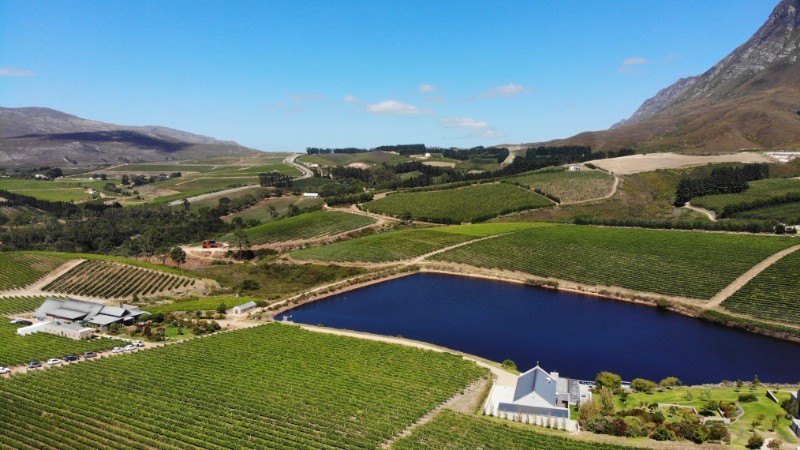Creation Wines: Where Quality Begins photo