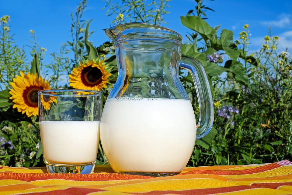 5 Marvelous Facts About Milk photo