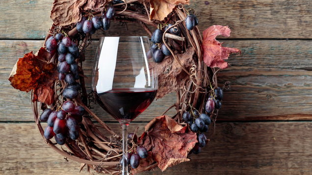 Taste Of Autumn: 7 Fruity Reds To Toast The Change Of Seasons photo