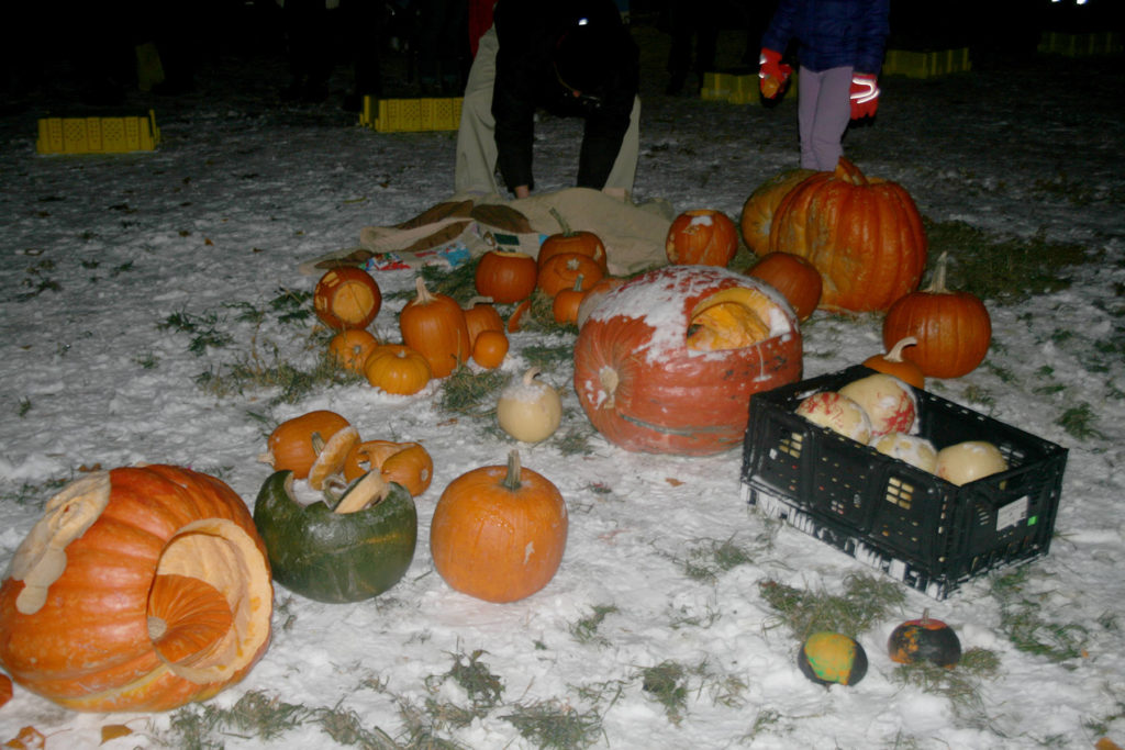 Flaming Pumpkins Set To Fly In Summerland photo