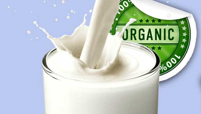 Organic Milk Market Is Booming In Forthcoming Year With Opportunities, Threats, Trends & Performance Analysis 2026 – Downey Magazine photo
