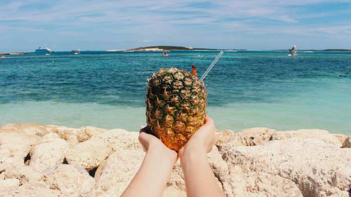 The World’s Best Drink Cooler May Come From Pineapple Scraps photo