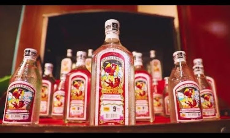 Ginebra San Miguel Bares Brand’s History In Short Documentary photo