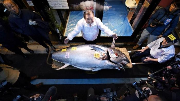 Japanese Sushi King Spends Millions On Tuna At Tokyo Auction photo