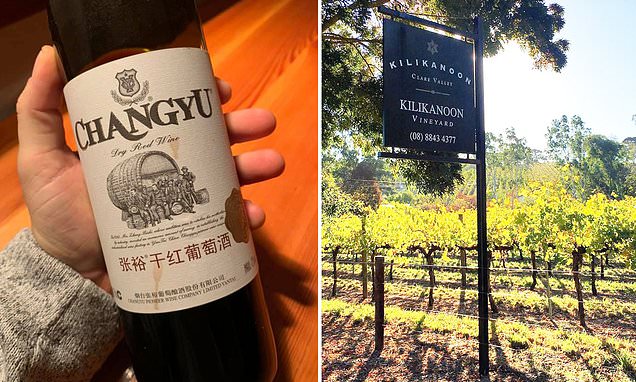Fury After Chinese Investors Buy Up Wineries In The Barossa photo