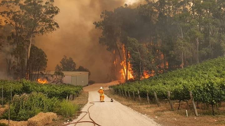 Adelaide Hills Wine Region Hit The Hardest In Devastating Australian Wild Fires photo