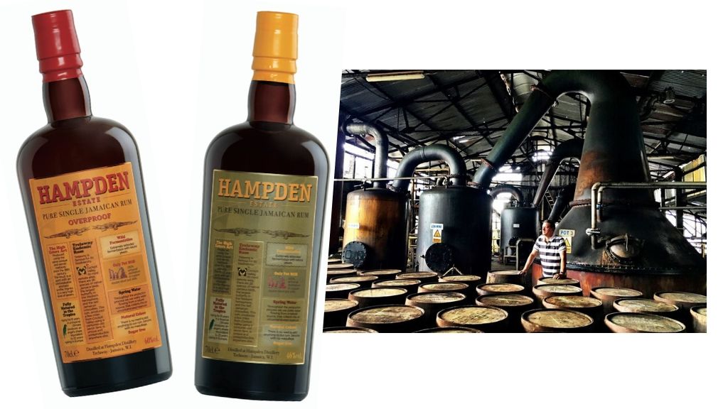 16 Interesting Facts About The Hampden Estate Distillery photo