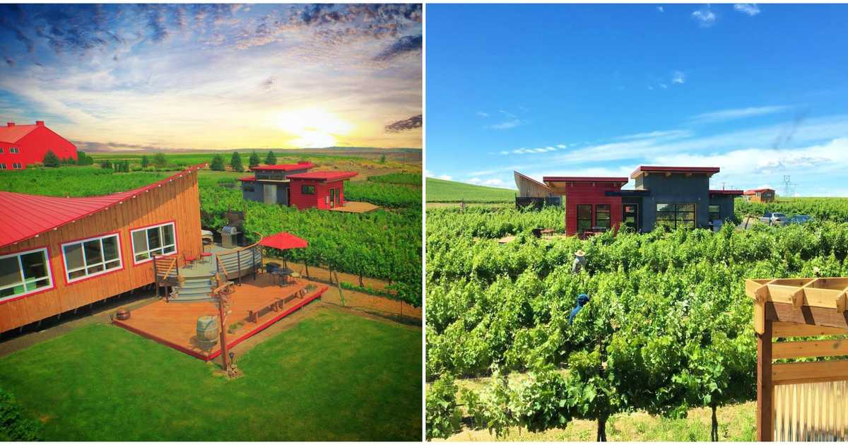 You Can Winecation In Tiny Houses On A Washington Vineyard Starting This Month photo