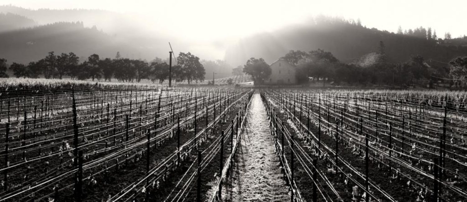 This Spanish Winemaker’s California Cabernet Sauvignon Is Definitely Worthy — The Magical History (and Future) Of Ehlers Estate photo