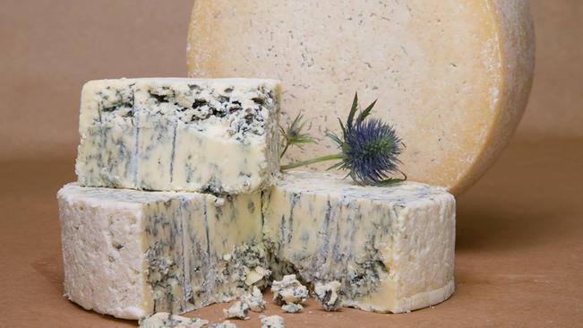 South African Cheese Festival Goes Virtual photo