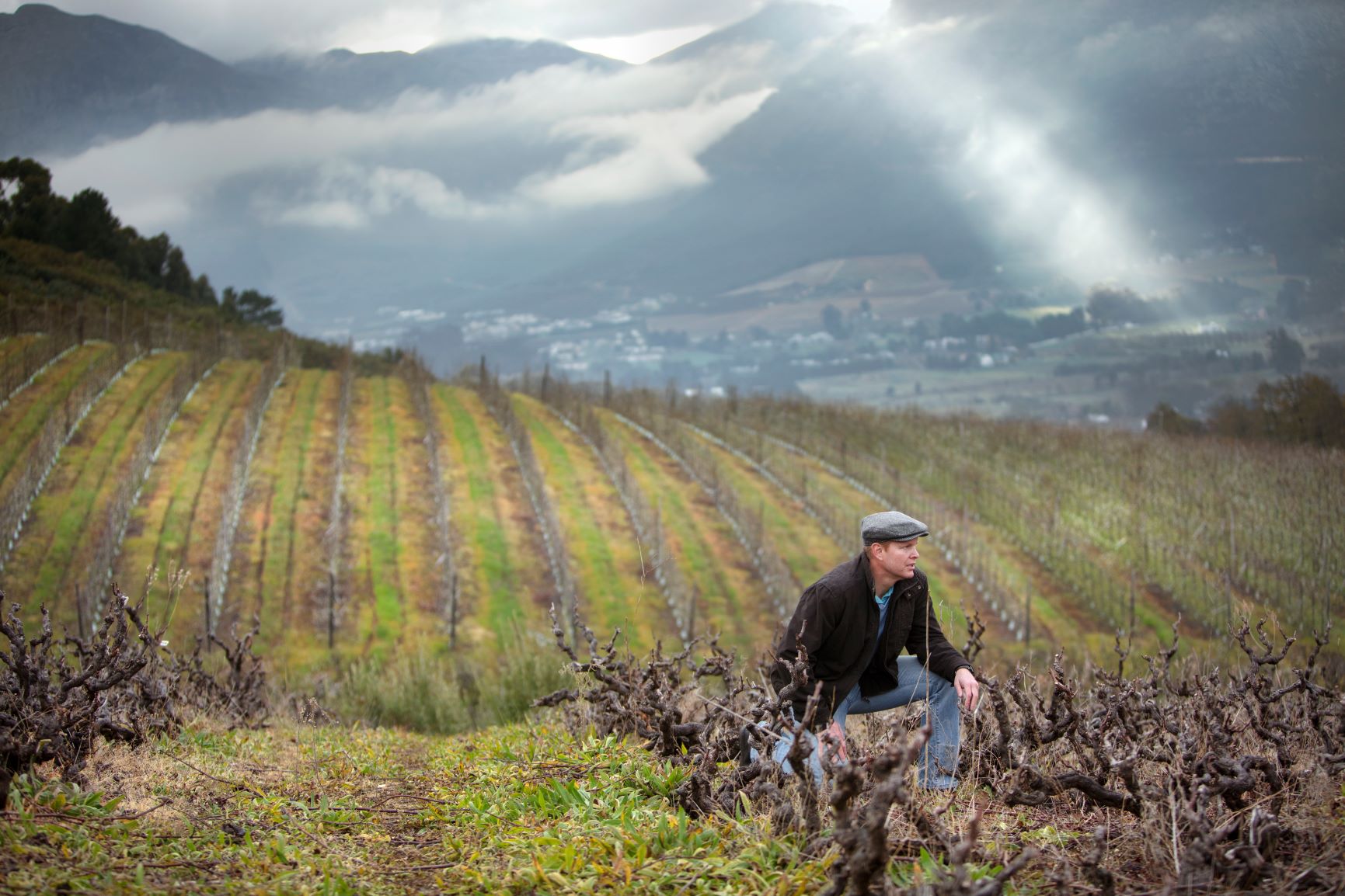 Old Road Wine Co.’s 12 Mile Syrah Flies in with top-rating from Wine Advocate photo