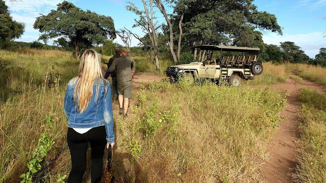 After Success Of Its Virtual Safaris, Tintswalo To Introduce Walking Safaris photo