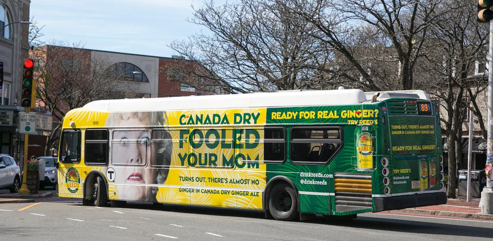 With New Ginger Ale, Norwalk Co. Tackles Canada Dry, Schweppes photo