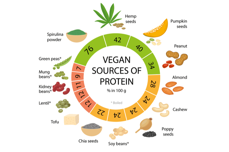 Top 5 Vegan Sources Of Protein To Try – Lifestyle Ug photo