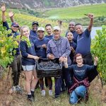 Sommelier Magic At Creation Wines photo