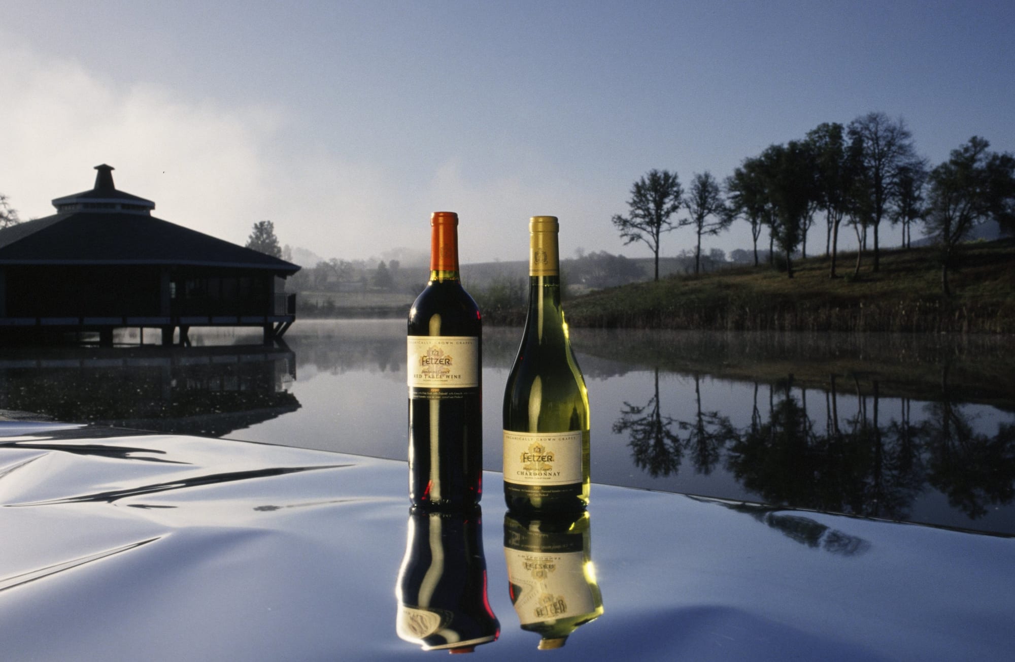 10 Summer-friendly Wine Offerings To Add To Your Collection photo