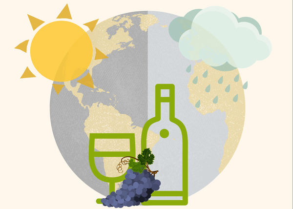 Uncorked:organic, Biodynamic, Sustainable Wines Explained photo