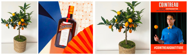 Cointreau Steps Up Drinks Trust Support photo