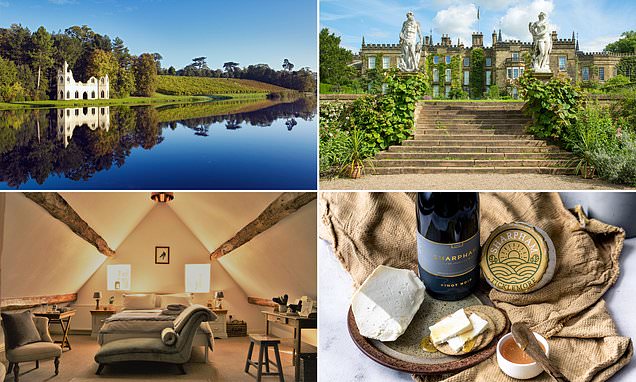 The Best Uk Vineyards To Wine And Dine From Devon To Yorkshire photo