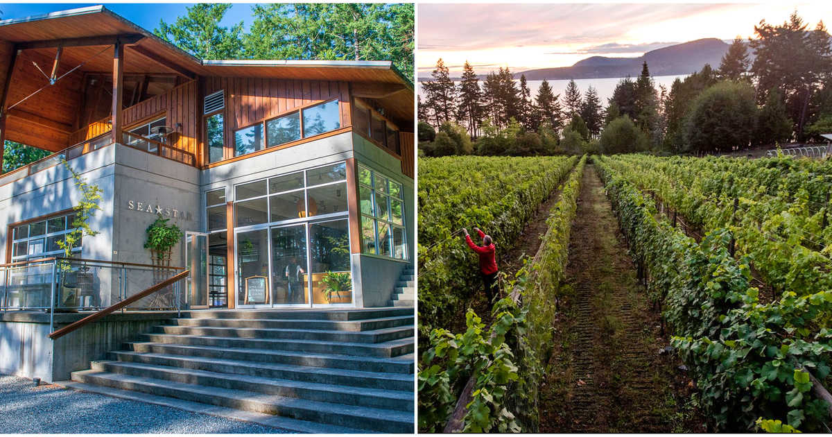 This Oceanfront Winery In Bc Is For Sale & You Can Actually Live There Too photo