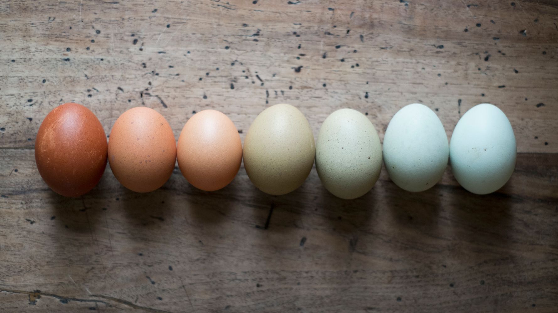 Why American Eggs Are Different From The Rest Of The World photo