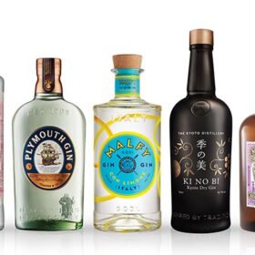 Pernod Ricard To ‘invest Heavily’ In Gin photo