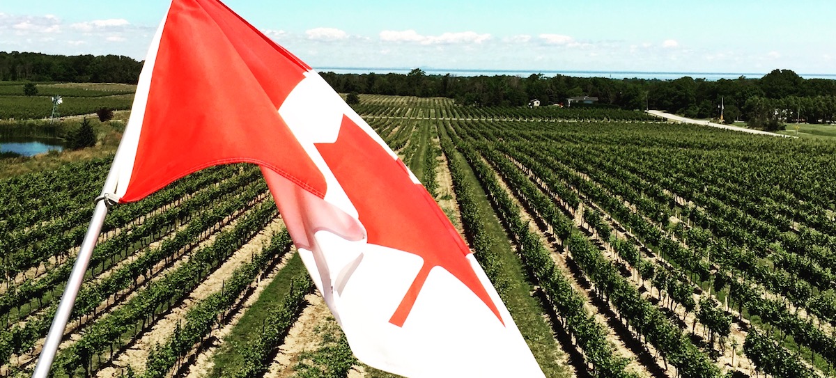 We Missed The Boat On Canada Day For Wine photo