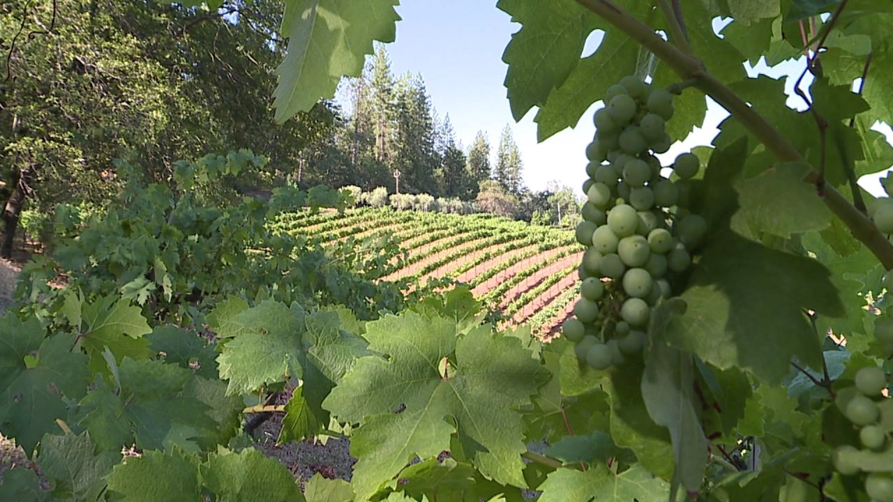 Destination California: Boeger Winery photo