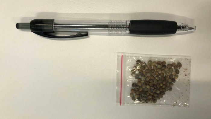 Seeds And Pen photo