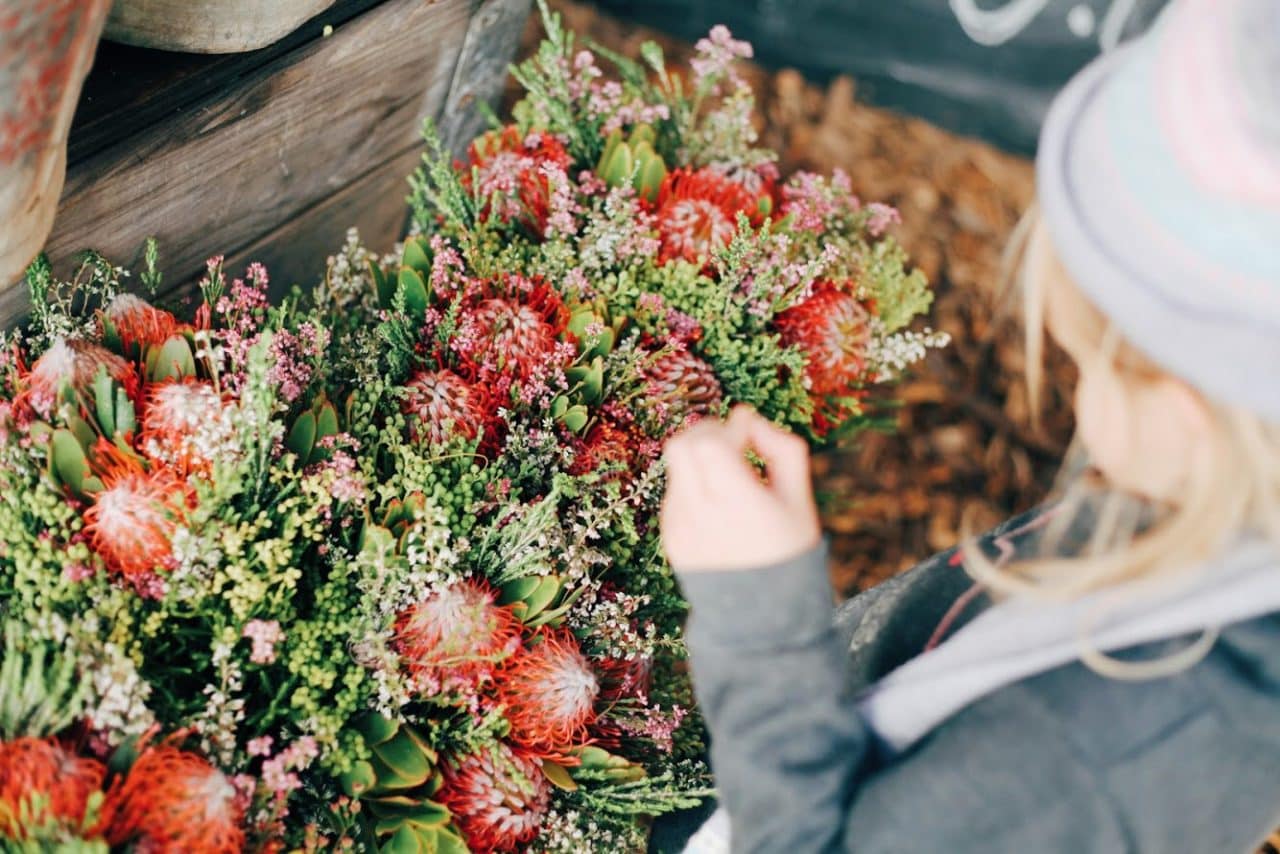 Where To Pick Fruit And Flowers In And Around Cape Town photo