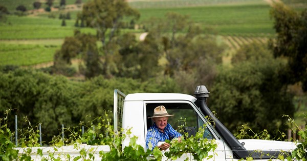 Unexpected Pleasures: The Grapes Moving Beyond Their Homelands photo