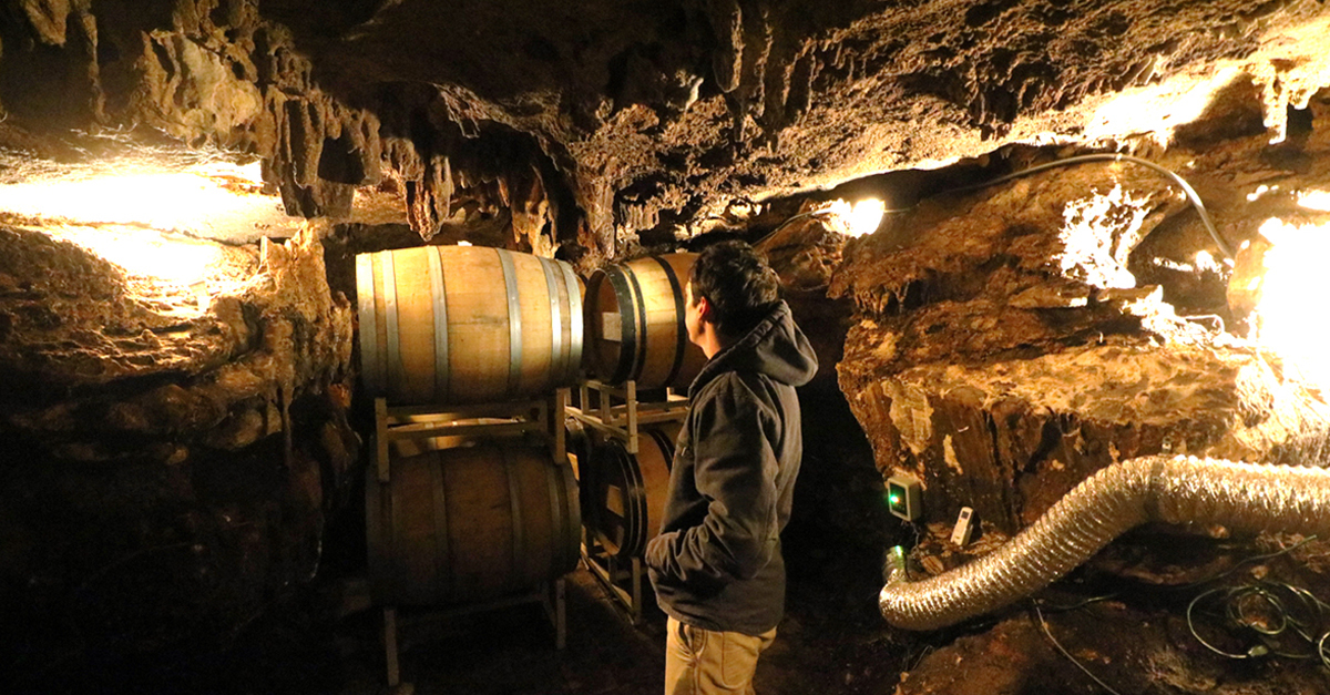 This Texas Brewery Is ‘cave-aging’ Wild Ales Underground On Its Property photo