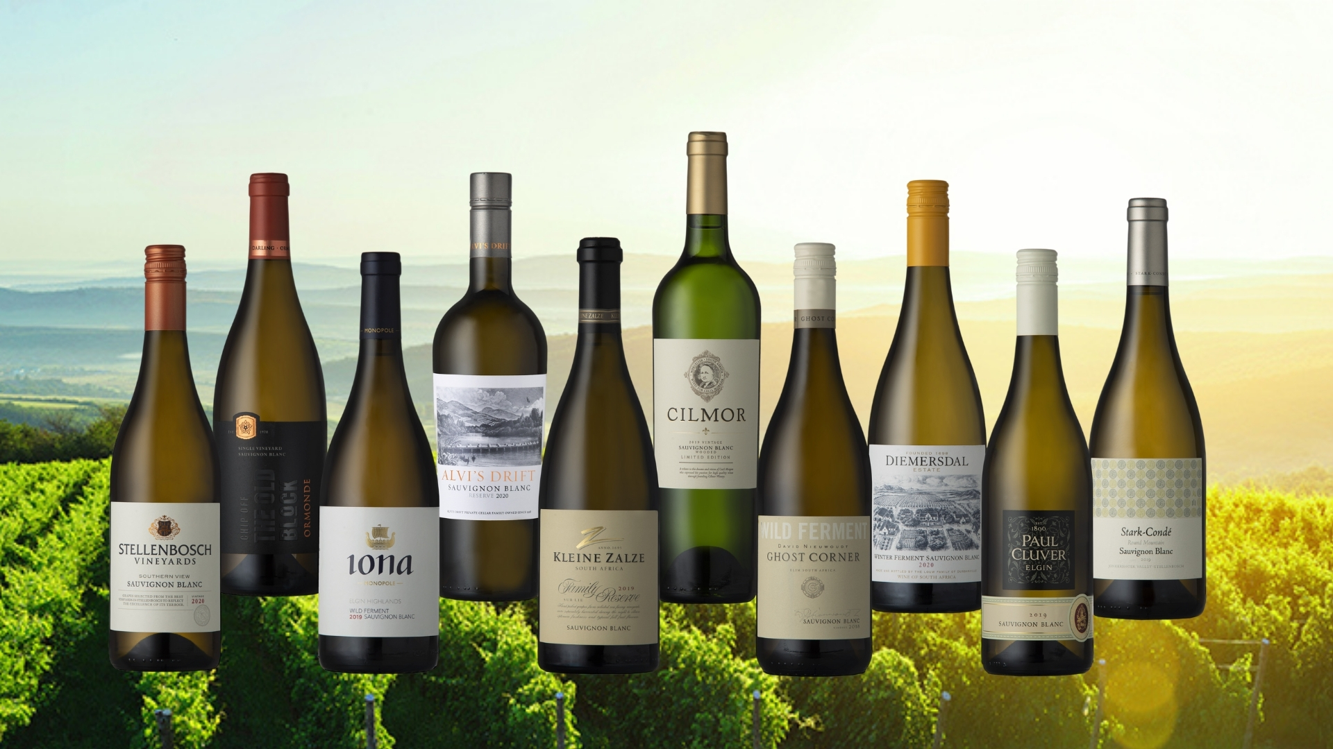 Top 10 Sauvignon Blanc Wines In South Africa For 2020 photo