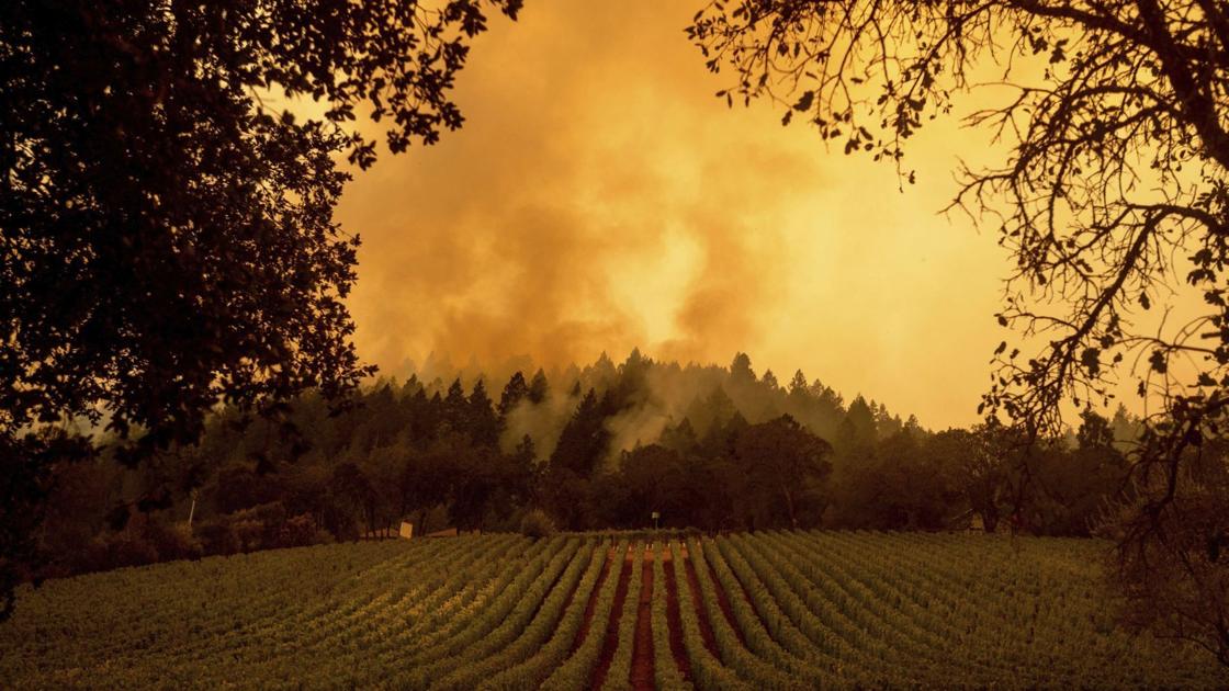 Napa Valley’s Scorched Hillsides Face A New, Serious Threat: Winter Rains photo