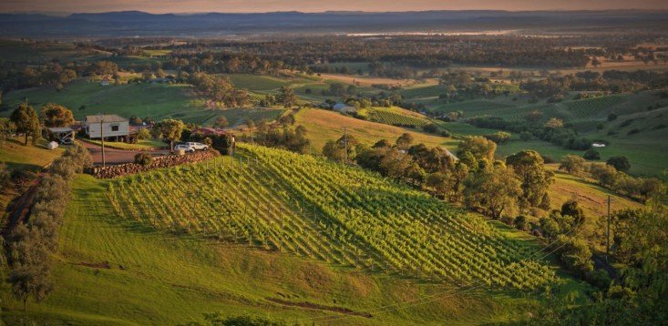 South Australia Lands Partnership With Multimillion-dollar Us Marketplace To Promote Red Wines From Down Under photo