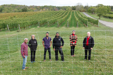Provincial Program Helps Avondale Sky Winery Combat Crop Loss With Deer Fencing photo
