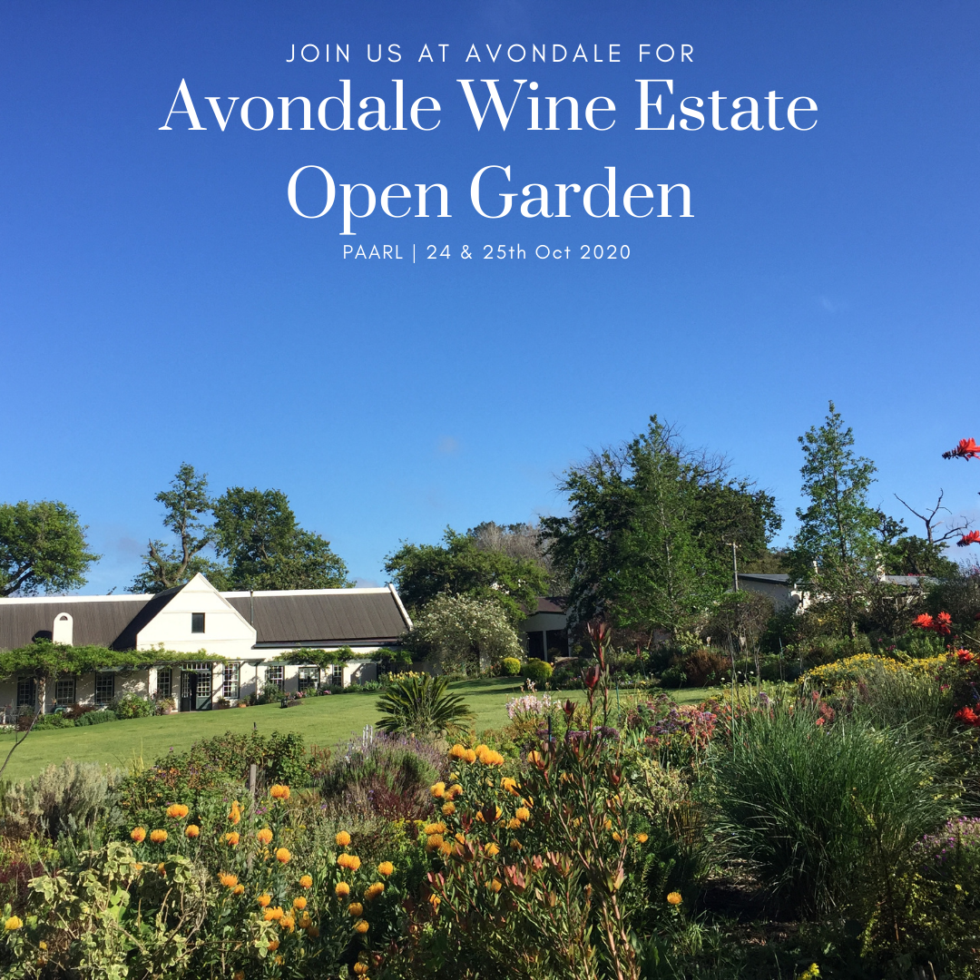 Avondale Wine Estate Opens Their Gardens In Aid Of Charity photo